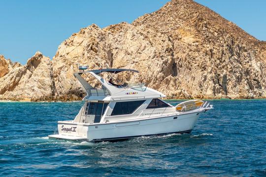 Bayliner 42ft Private Yacht 15Px