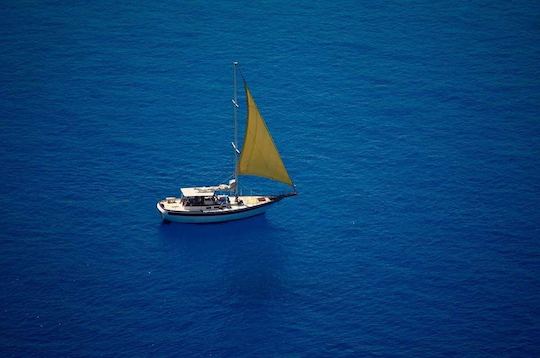 Custom 40ft Sail Boat Rental in Cozumel