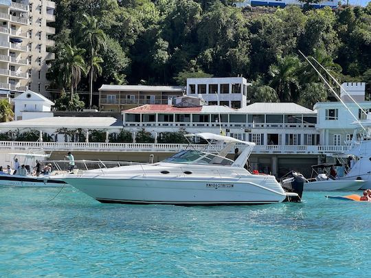 Disfrute de un crucero por la costa de Montego Bay en un yate SeaRay de 30 pies con ron ponche ilimitado