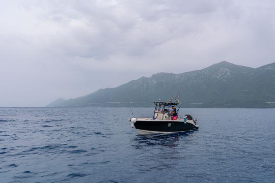 Location de pêche en bateau à console centrale 2503 Trophy à Cavtat