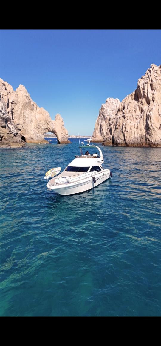 Luxury 45' SEARAY FLY BIGE SEDAN Yacht Charter in Cabo with Flybridge Experience