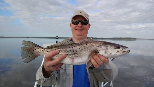 Carta de pesca costeira 