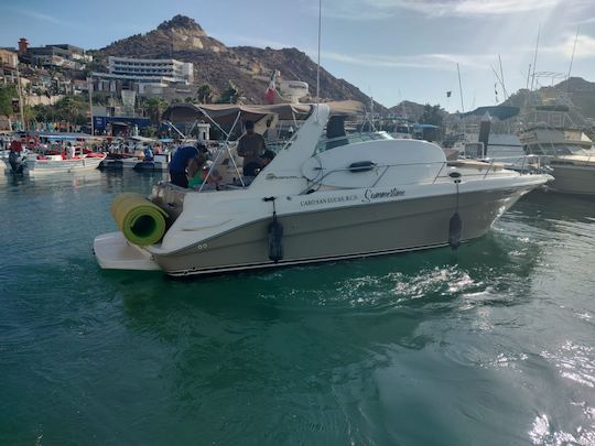 Location de yacht à moteur Brown Sea Ray Sundancer de 34 pieds à Cabo San Lucas