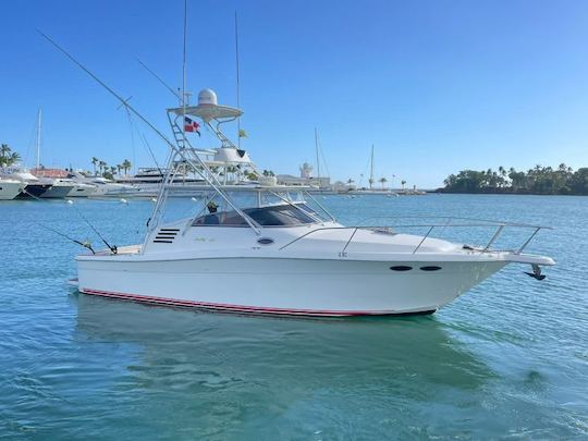 35' Sea Ray boat for rent in La Romana