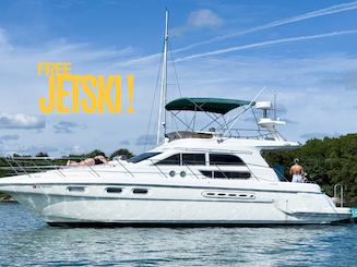 Rent this Beautiful 50' Sealine 100$ OFF or FREE Jetski from Monday-Friday!