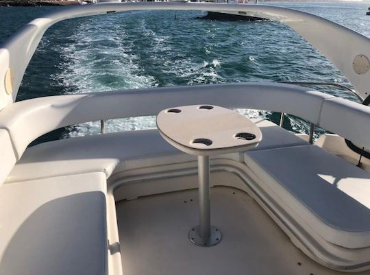 45 Sea Ray Flybridge disponibles à la location à Cabo San Lucas 