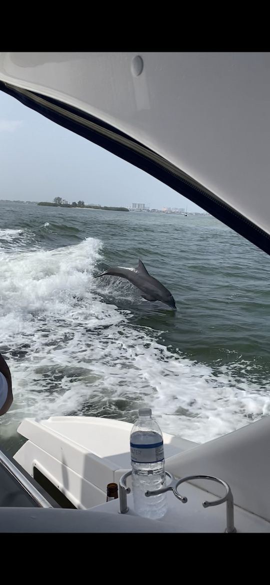 ¡La fiesta Island Hop Ocean en un yate de lujo de 35 pies incluye bebidas enfriadoras de combustible cargadas de hielo!