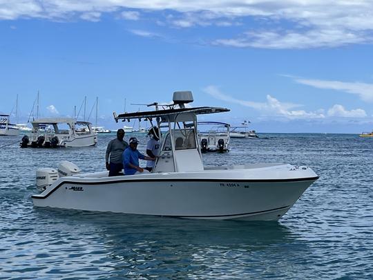 Barco privado en la isla Saona