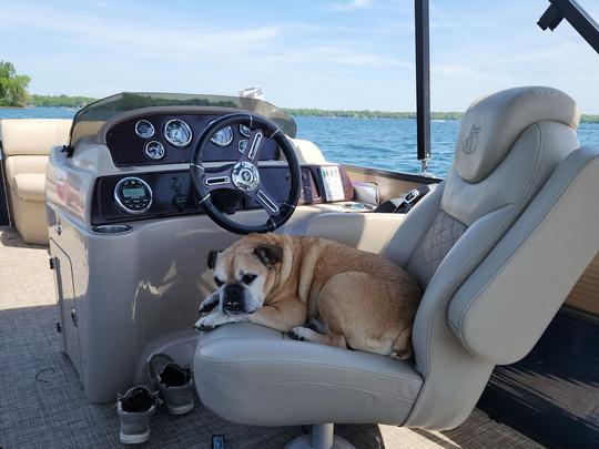 10 person Misty Harbor 22ft Pontoon Boat