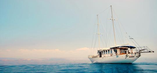 Fully Crewed, Cruising in the Saronic Gulf, Traditional Wooden Gulet.