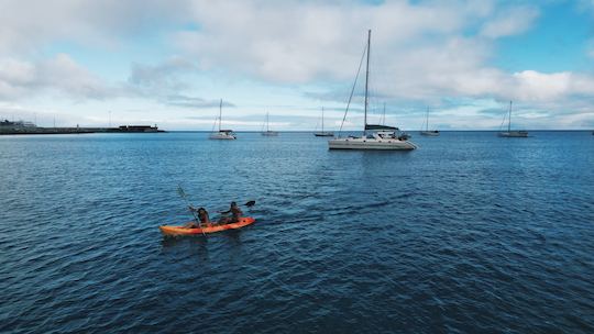 Paseos privados en catamarán en la isla de Madeira