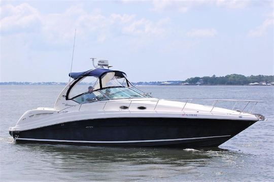 Cuddy Sea Ray 40 ft Sundancer for tour summer getaway at sea !