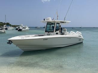 Saona Isalnd on private boat