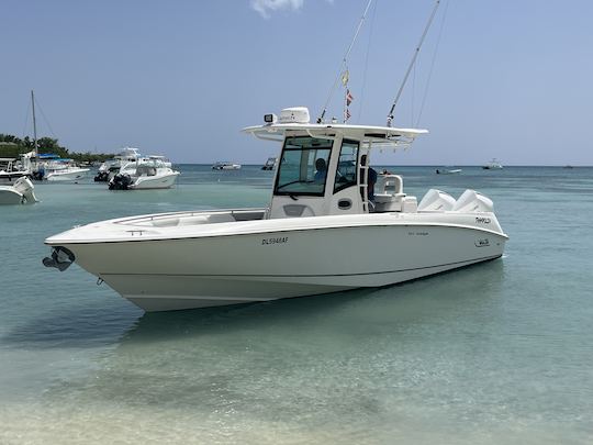 Saona Isalnd on private boat