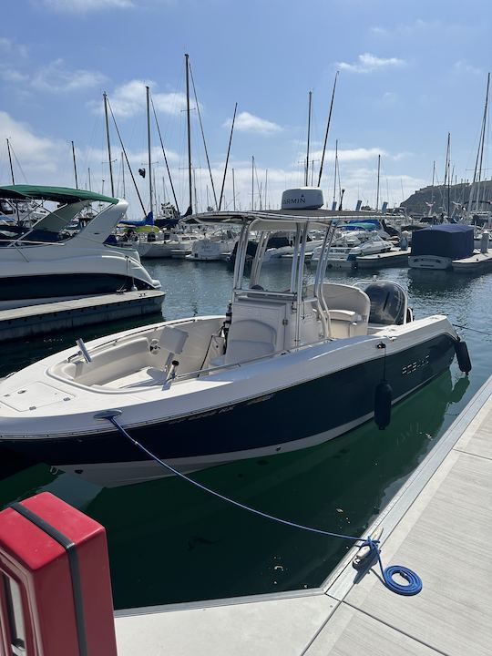 Robalo R200 2017 para fretamento em Dana Point