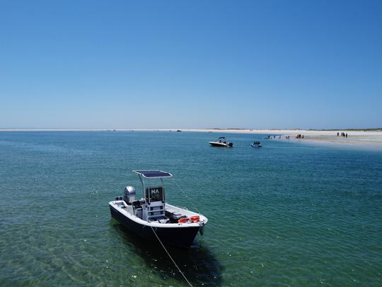 Rio Sado tour for up to 8 people