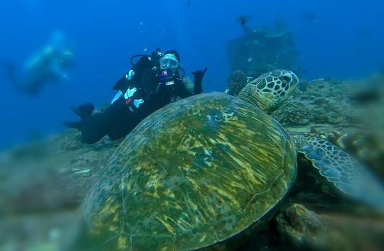 Best Waikiki Private Charter - Snorkel, Dive and Sunset Cruises!!