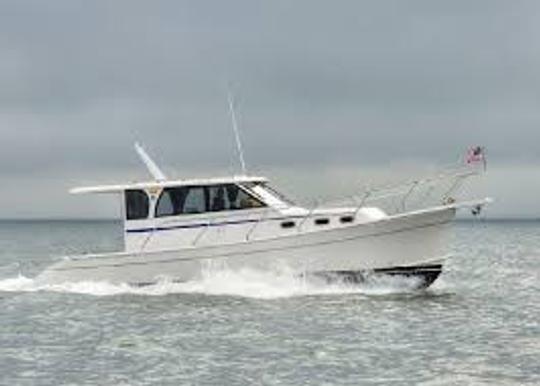 32ft Mainship Yacht Includes Captain & Fuel |Cruise San Francisco Bay In Comfort