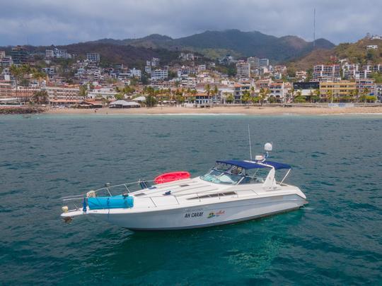 AH CARAY | Le magnifique yacht Sea Ray de 42 pieds pour une croisière d'une journée en PV.