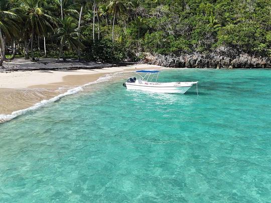 Lancha rápida Yamaha de 29 pés em Las Terrenas