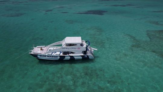 🛥🔥60ft VIP LUXURY Catamaran for rent for larges groups in La Romana🛥️💃🏾🎉