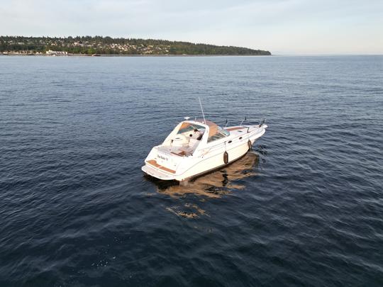 Fiesta exprés en Wreck Beach desde Richmond - Sea Ray 330 Sundancer