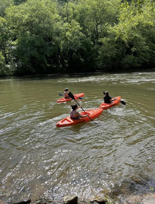 Explore o pitoresco rio Toccoa pelo norte da Geórgia de caiaque