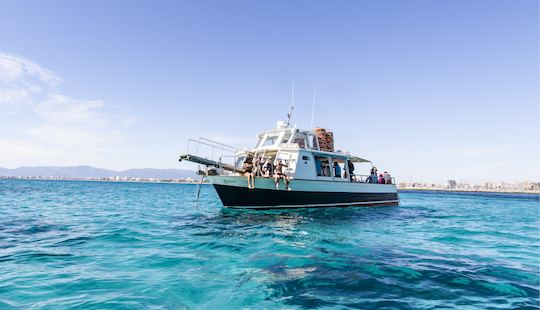 Superman Boat - Descubre la bahía de Palma