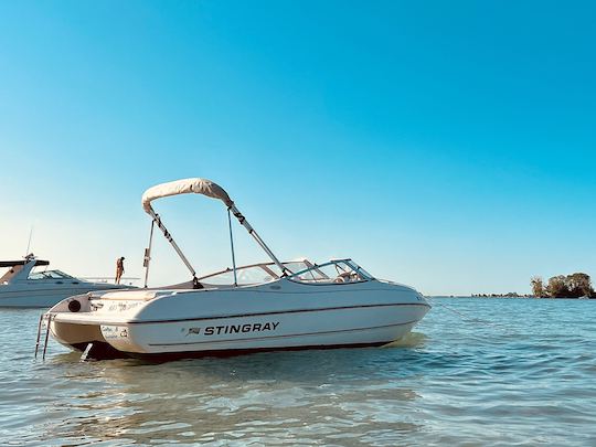 Bateau à moteur Stingray à Cass Lake