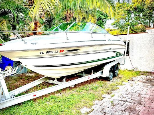 1999 Searay 2015 エクスプレスクルーザーレンタル（ブロワードカントリー）