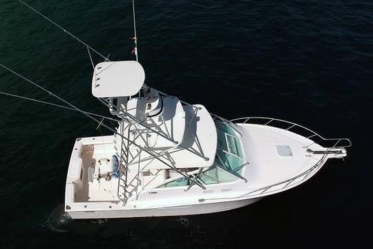 ¡Aventura de pesca deportiva en Cabo San Lucas a bordo de Pescado Grande!