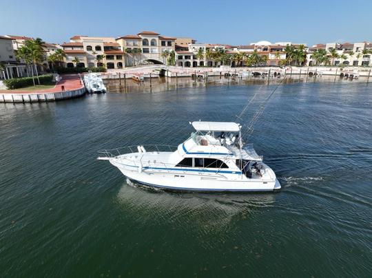 Pesca privada o compartida en alta mar VIP Expericien Boat Punta Cana