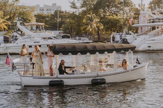 Barco eléctrico Duffy de lujo de 22 pies con capitán | Miami River, Miami, Bahía Biscayne