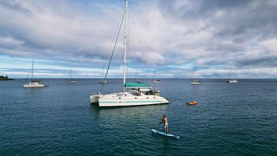 Paseos privados en catamarán en la isla de Madeira