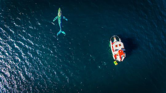 65' Custom Trimaran with Waterslides [All Inclusive] in Puerto Vallarta Mexico