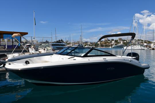 ¡Explora la Riviera Francesa en el Sea Ray 190 Sport 2024! ¡Wake Tower, lujos y más!