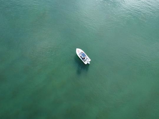 Rio Sado tour for up to 8 people