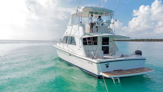 Riviera Flybridge with Aft Deck