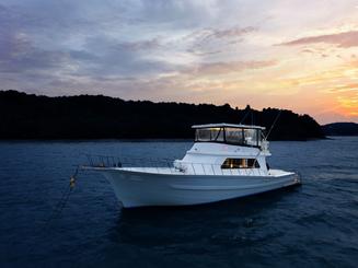 Haddock - Bertam 55ft Luxury sportfisher in Phuket