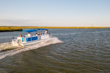 Private Dolphin/Eco/Shelling Tour Folly Beach