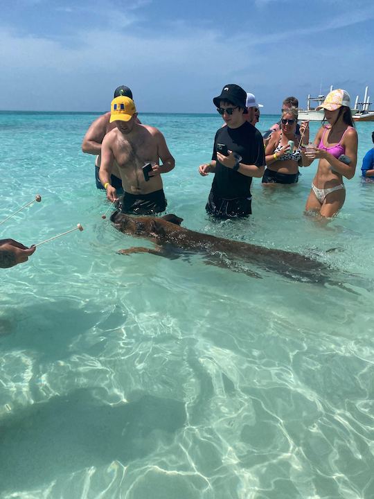 Visite des 4 îles de l'île Rose, nagez avec des cochons, des tortues et faites de la plongée avec tuba sur les récifs coralliens 