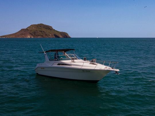 Sea Ray 32ft Yacht for Daily Charter up to 10 people