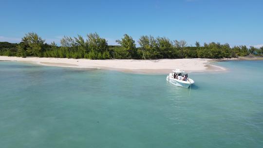 Console centrale de 33 pieds - Look and Sea : réservez le bateau de vos rêves aux Bahamas !