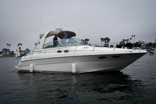 36FT Luxury Sea Ray Yacht W/CUSTOM SOUND SYSTEM