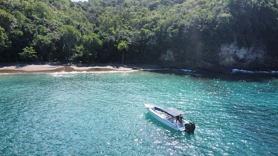 Private Snorkeling and Sightseeing Tour with Formula 31’ Boat