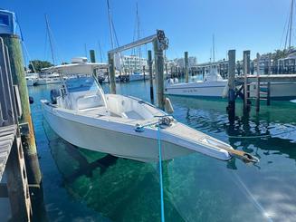 Charter privé : plongée avec tuba, cochons, tortues et journée à la plage à Nassau, aux Bahamas !