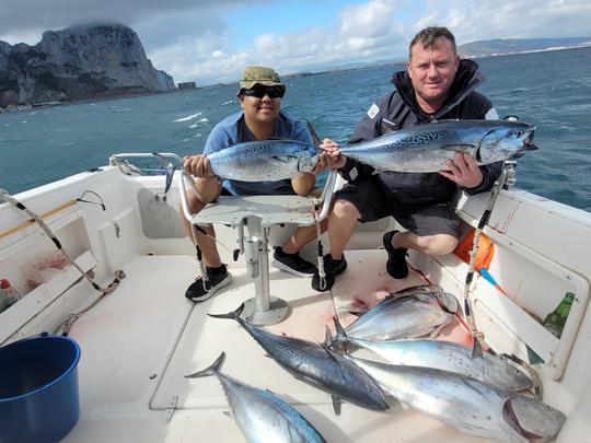 Mackerel Fishing Trip - Half Day (3 hrs)