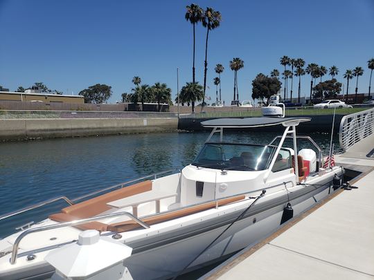 Fast and furious day power cruiser twin outboards 200 hp | 28ft Axopar T-Top