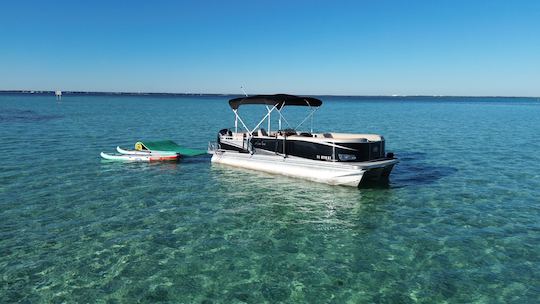 Excursões à Ilha do Caranguejo/avistamentos de golfinhos/cruzeiros ao pôr do sol em Destin, FL