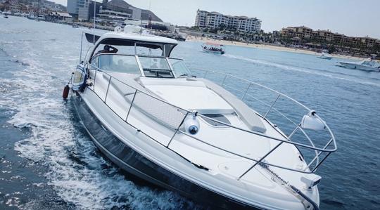 Yacht SeaRay 45ft Sundancer. All-inclusive